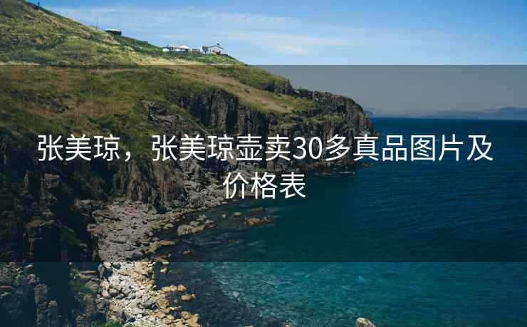 张美琼,张美琼壶卖30多真品图片及价格表 张美琼,张美琼壶卖30多真品图片及价格表
