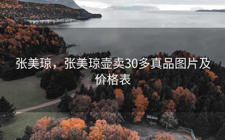 张美琼，张美琼壶卖30多真品图片及价格表