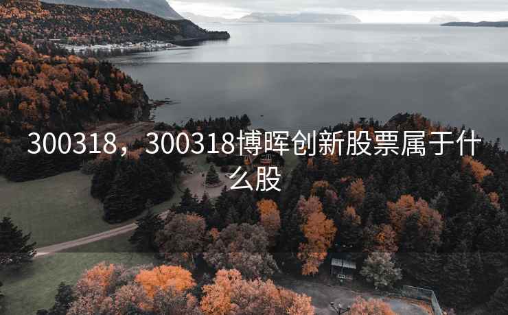 300318，300318博晖创新股票属于什么股