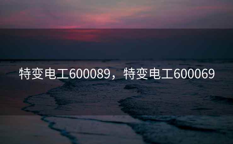 特变电工600089，特变电工600069