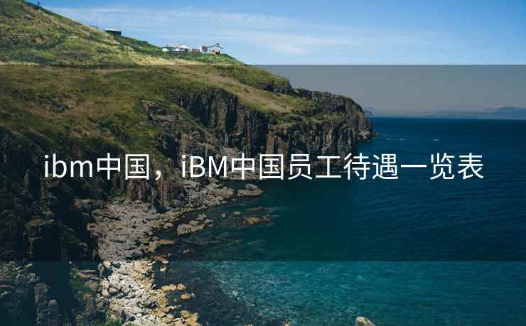 ibm中国，iBM中国员工待遇一览表