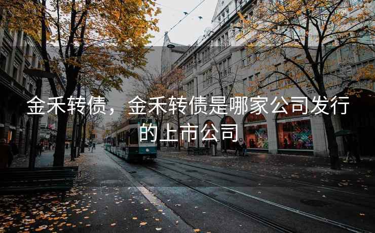 金禾转债，金禾转债是哪家公司发行的上市公司