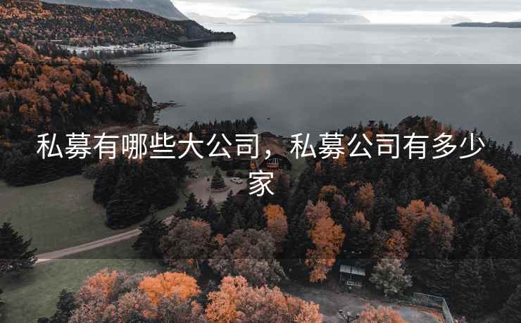 私募有哪些大公司,私募公司有多少家 私募有哪些大公司,私募公司有多少家