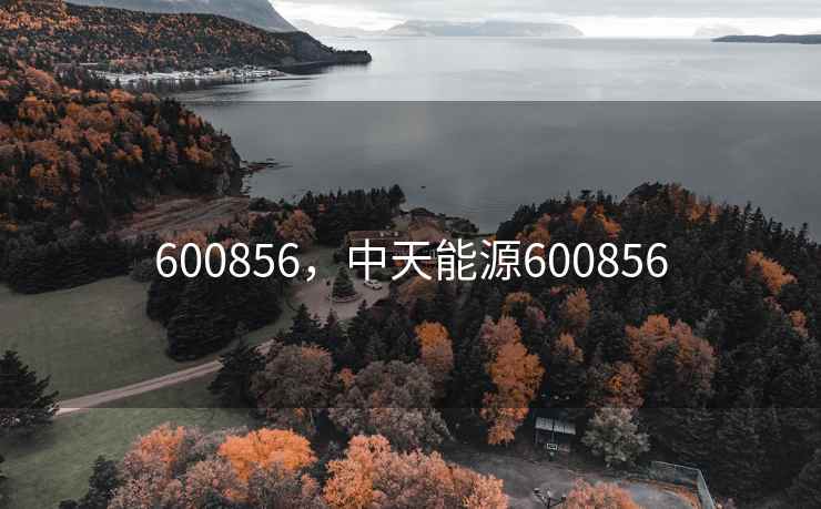 600856,中天能源600856 600856,中天能源600856
